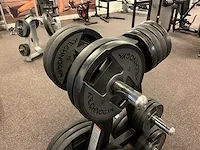 Technogym - plate tree inclusief schijven - afbeelding 5 van  5