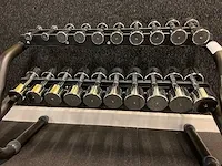 Technogym chrome dumbbell set - afbeelding 2 van  2