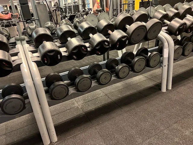 Technogym dumbbellset 4 tot 50kg - afbeelding 3 van  5