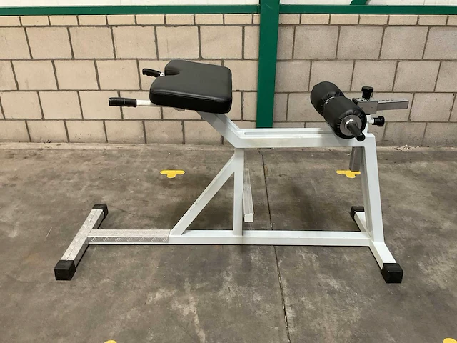 Technogym lower back - afbeelding 1 van  2