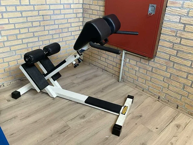 Technogym roman chair - afbeelding 1 van  3