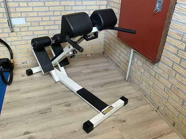 Technogym roman chair - afbeelding 2 van  3