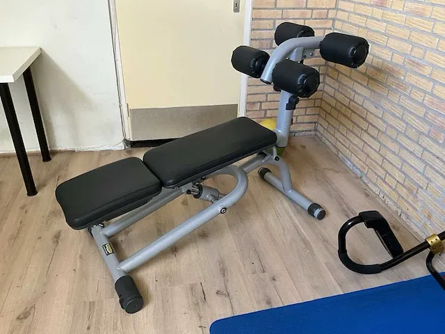Technogym roman chair - afbeelding 1 van  3
