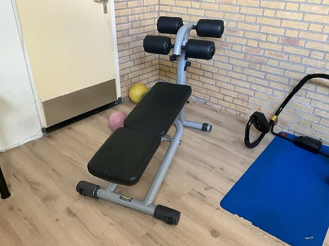 Technogym roman chair - afbeelding 2 van  3