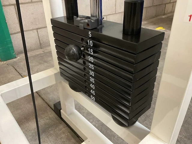 Technogym rotary torso - afbeelding 3 van  6