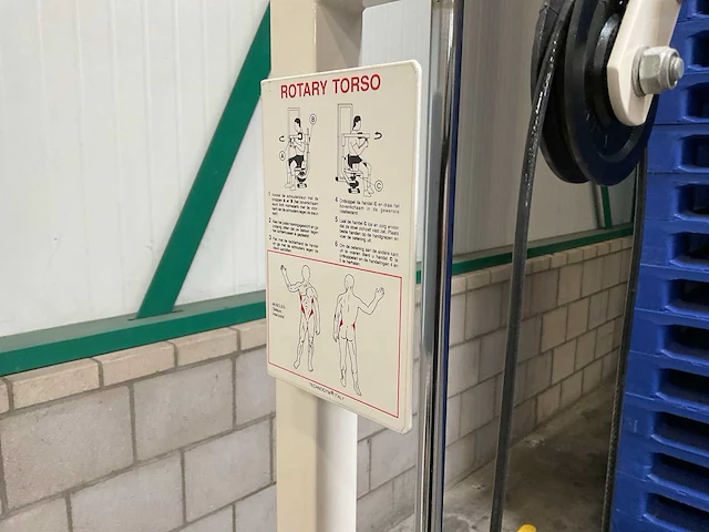 Technogym rotary torso - afbeelding 2 van  6
