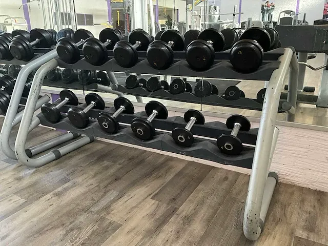 Technogymn halterrek met halters - afbeelding 3 van  3