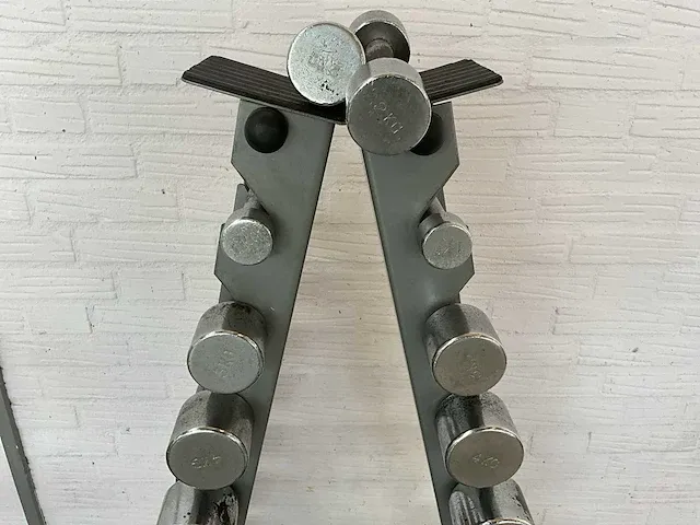 Technogymn halterrek met halters - afbeelding 2 van  5