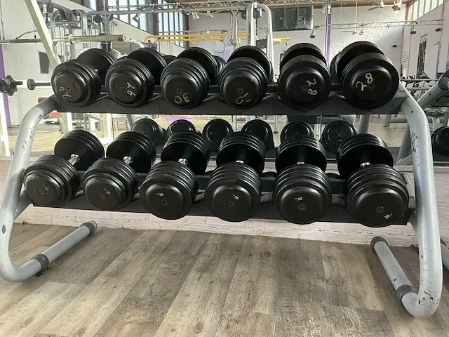 Technogymn halterrek met halters - afbeelding 3 van  3