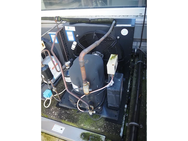 Tecumseh - afbeelding 1 van  9