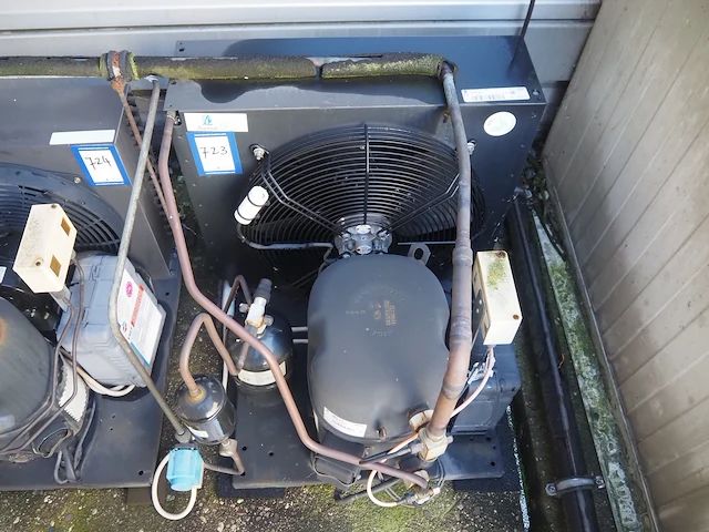 Tecumseh - afbeelding 3 van  9