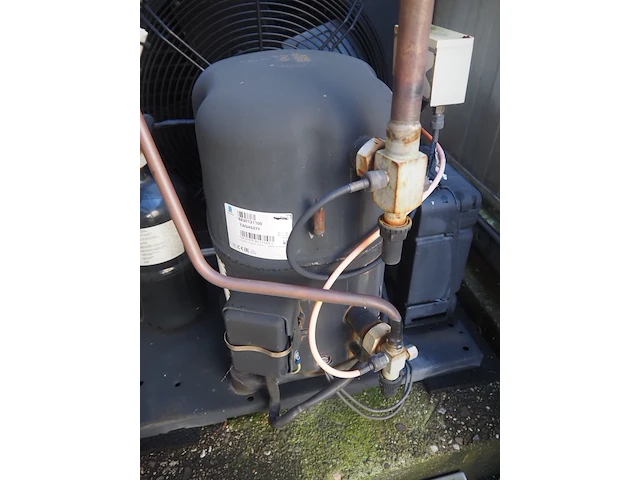 Tecumseh - afbeelding 6 van  9