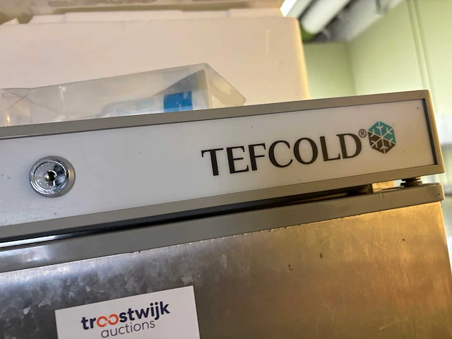 Tefcold vriezer - afbeelding 1 van  3