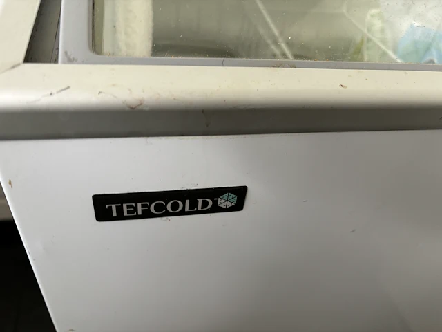 Tefcold vriezer - afbeelding 1 van  1