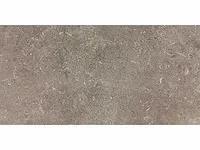 Tegel porfir vizon 120,96 m² - afbeelding 2 van  3
