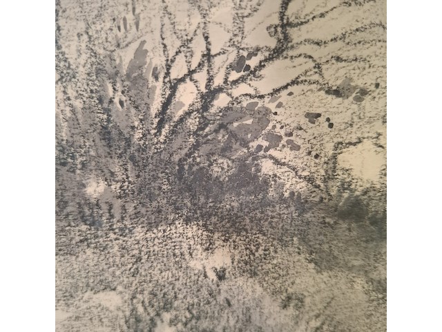 Tekening, p. cox, katwijkse duinen, 1969 - afbeelding 5 van  9