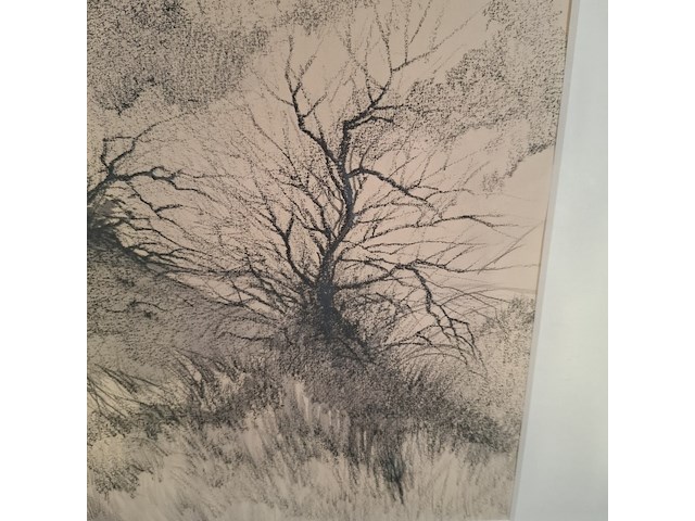 Tekening, p. cox, katwijkse duinen, 1969 - afbeelding 6 van  9