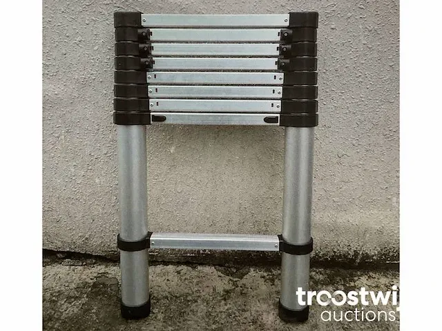 Telescoopladder 260 cm - afbeelding 1 van  4