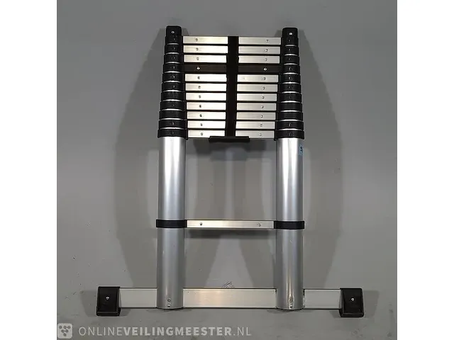 Telescopische ladder diggers, digtl38 - afbeelding 1 van  7