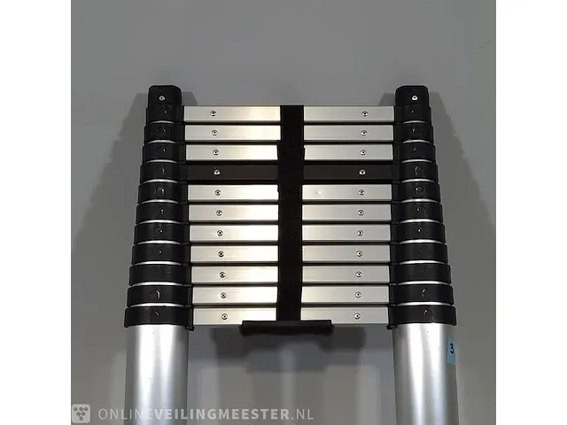Telescopische ladder diggers, digtl38 - afbeelding 4 van  7