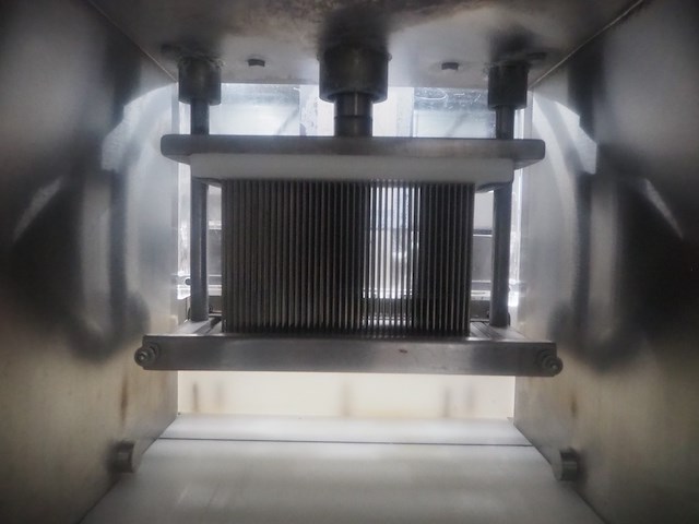 Tender star - afbeelding 8 van  9