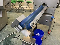 Tenrit - 2022 - vb1000 - wortel schilmachine - afbeelding 4 van  11