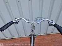 Tesla e-bike/ elektrische fiets koga, grijs - afbeelding 6 van  8
