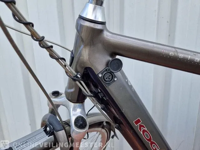 Tesla e-bike/ elektrische fiets koga, grijs - afbeelding 7 van  8