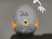 Test promethean - afbeelding 19 van  23