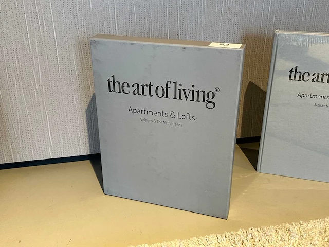 The art of living apartments & lofts boek - afbeelding 1 van  2