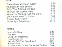 The best of fats domino - afbeelding 3 van  3