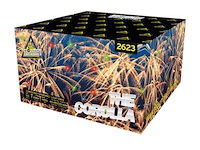 The carolla 100 schots - afbeelding 1 van  1