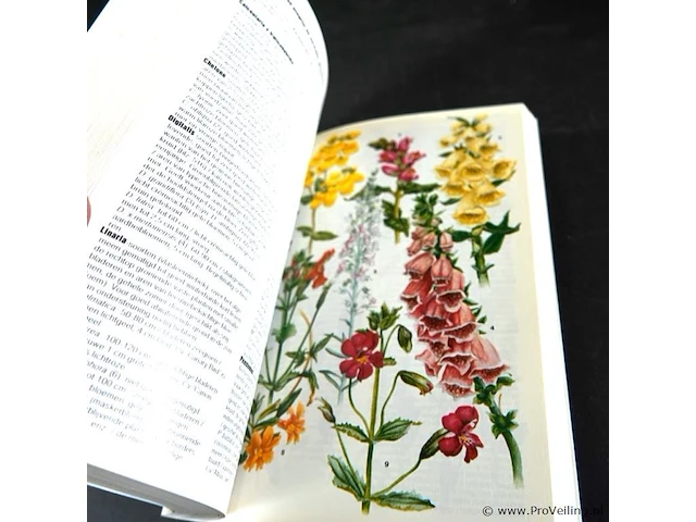 The complete tuinplanten lexicon - afbeelding 4 van  5