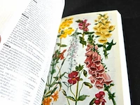 The complete tuinplanten lexicon - afbeelding 4 van  5