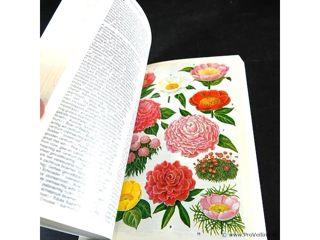 The complete tuinplanten lexicon - afbeelding 5 van  5