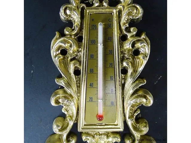 Thermometer en portret in lijst - afbeelding 4 van  5