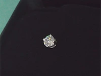 Tiffany & co - tiffany solitair oorknop met diamant - afbeelding 9 van  13