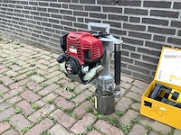 Tiger palenrammer - afbeelding 1 van  3