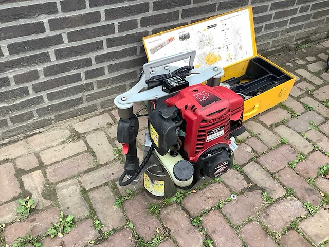 Tiger palenrammer - afbeelding 2 van  3