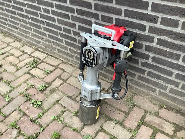 Tiger palenrammer - afbeelding 3 van  3