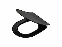 Tiger tune wc bril d-vorm softclose easy clean functie duroplast zwart / rvs geborsteld - afbeelding 1 van  1
