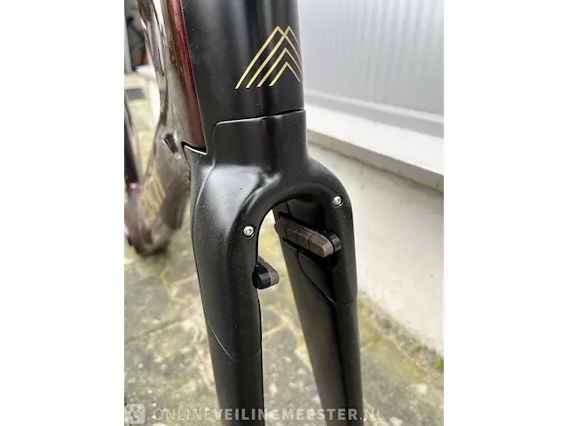 Time trail frameset vessch, celeritas, center-top ca. 55cm - afbeelding 10 van  12