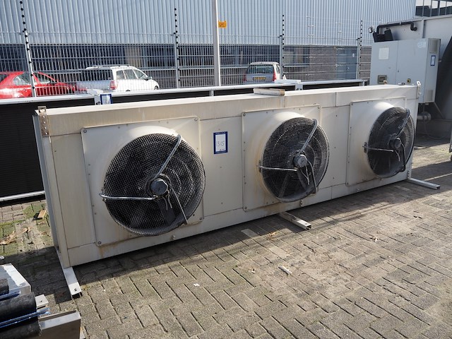 Tino cabero - afbeelding 1 van  10