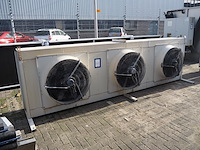 Tino cabero - afbeelding 1 van  10