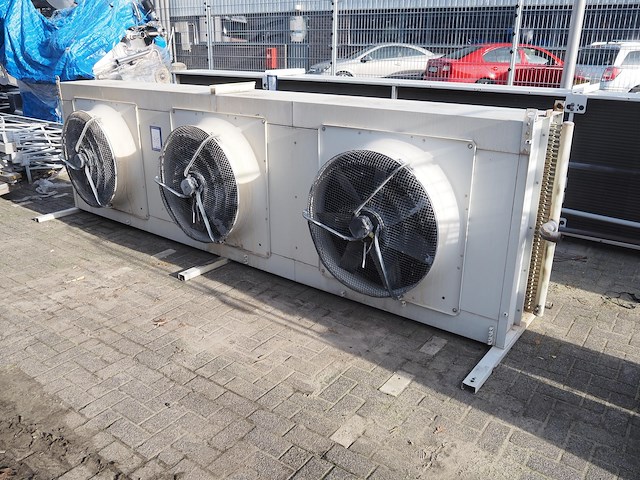 Tino cabero - afbeelding 3 van  10