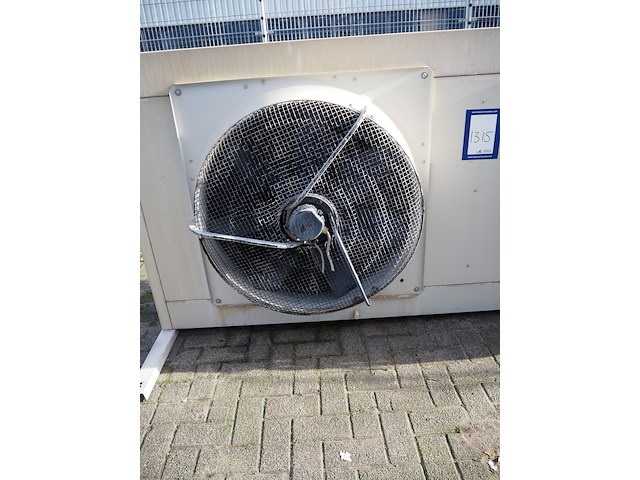 Tino cabero - afbeelding 8 van  10