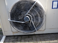 Tino cabero - afbeelding 8 van  10