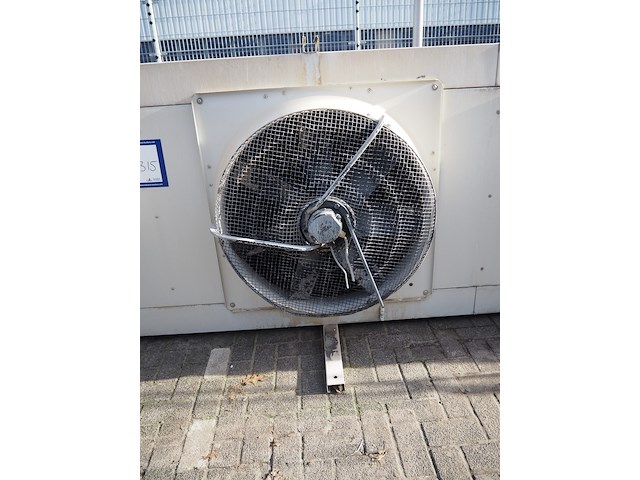 Tino cabero - afbeelding 9 van  10