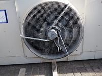 Tino cabero - afbeelding 9 van  10