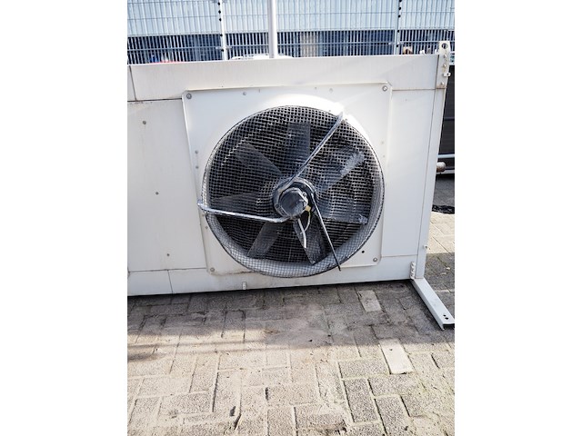 Tino cabero - afbeelding 10 van  10